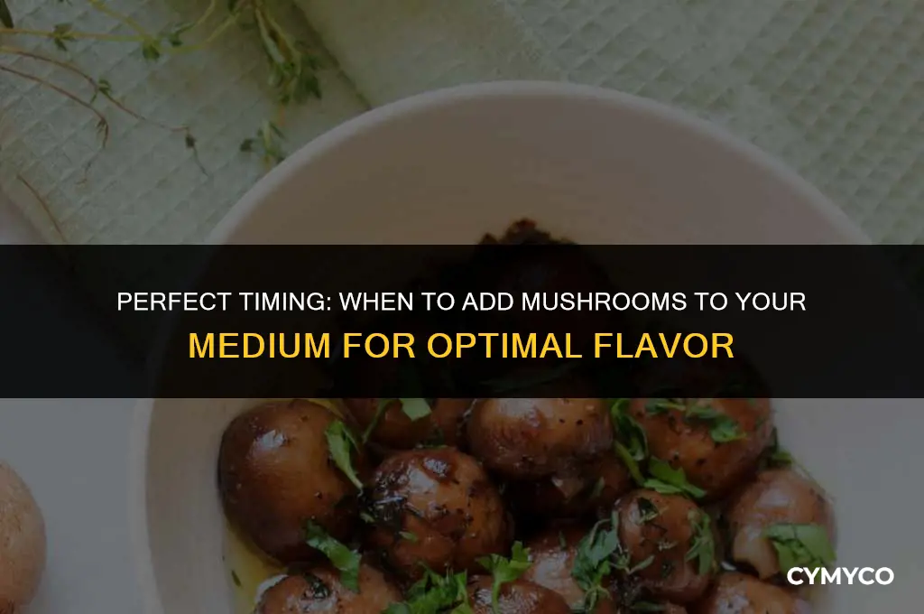 how long to heat medium before adding mushrooms