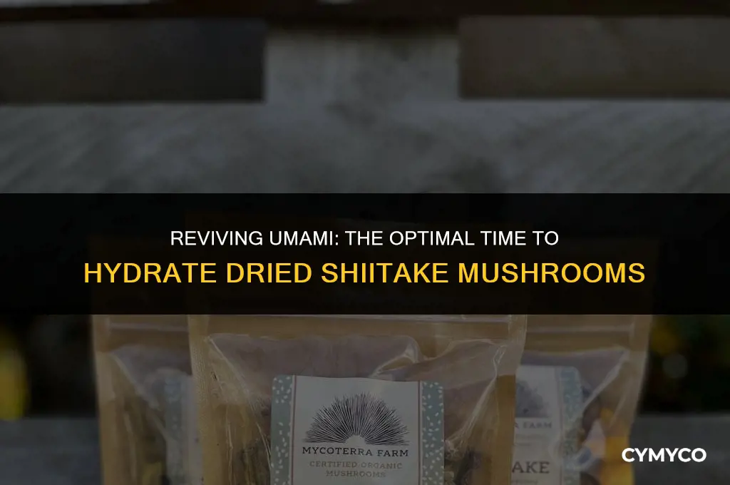 how long to hydrate dried shiitake mushrooms