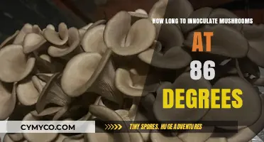Optimizing Mushroom Inoculation: The 86-Degree Fahrenheit Guide