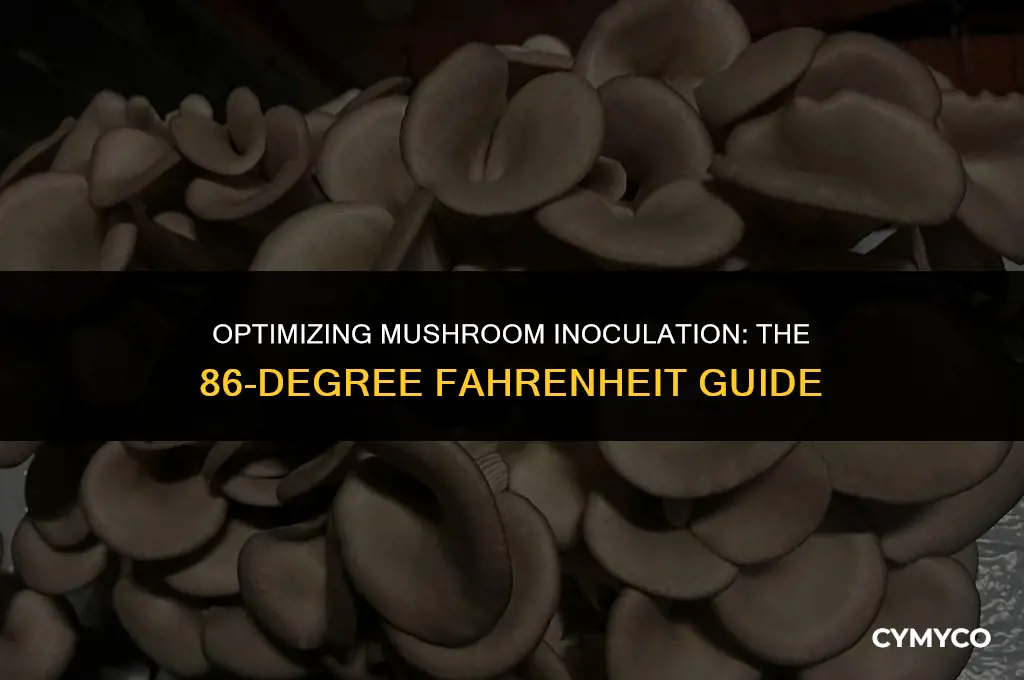 how long to innoculate mushrooms at 86 degrees