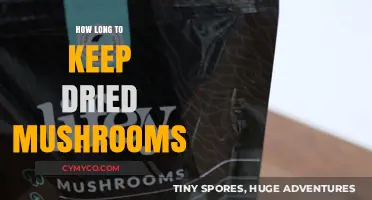 Shelf Life of Dried Mushrooms: A Comprehensive Guide