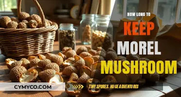 Savoring Spring's Bounty: Optimal Storage for Fresh Morel Mushrooms
