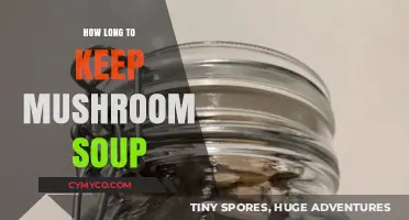 Shelf Life Secrets: Mastering the Art of Mushroom Soup Storage