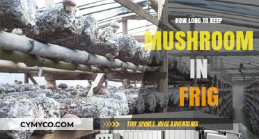 Freshness Preserved: Optimal Mushroom Storage in the Fridge