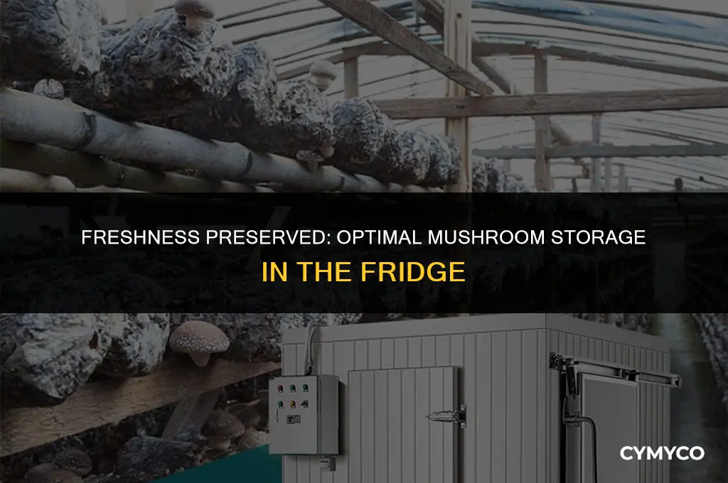 how long to keep mushrooms in frig