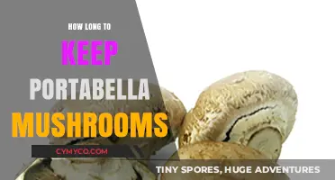 Freshness Matters: Optimal Storage Tips for Portabella Mushrooms