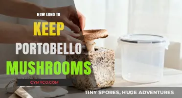Freshness Matters: Optimal Storage Tips for Portobello Mushrooms