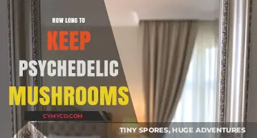 A Guide to Psychedelic Mushroom Storage: Maximizing Potency and Safety