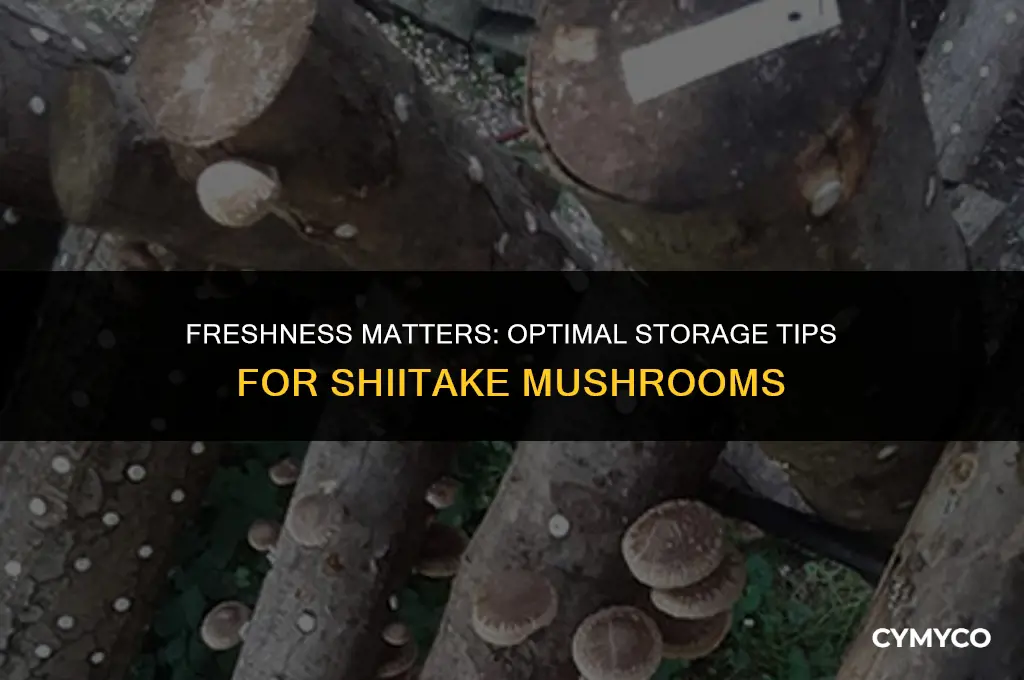 how long to keep shiitake mushrooms