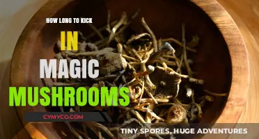 Exploring the Timeline: When Do Magic Mushrooms Take Effect?