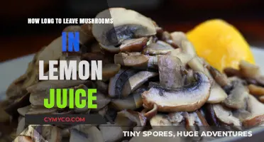 Maximizing Flavor: The Optimal Time for Mushrooms in Lemon Juice