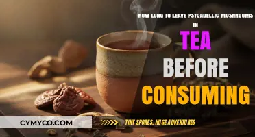 Exploring the Optimal Brew Time for Psychedelic Mushroom Tea