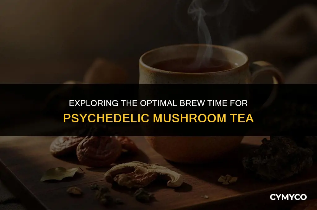how long to leave psycadellic mushrooms in tea before consuming