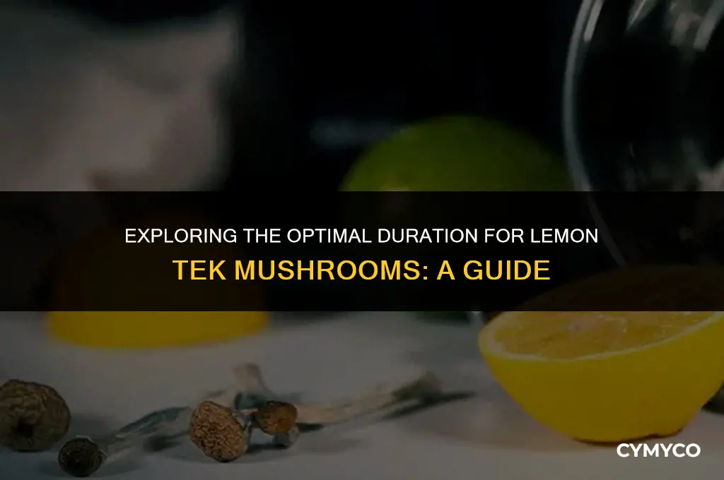 how long to lemon tek mushrooms