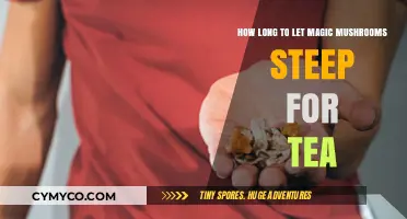 Unlocking the Magic: Optimal Steeping Time for Mushroom Tea