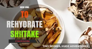 Reviving Umami: The Optimal Time to Rehydrate Shiitake Mushrooms