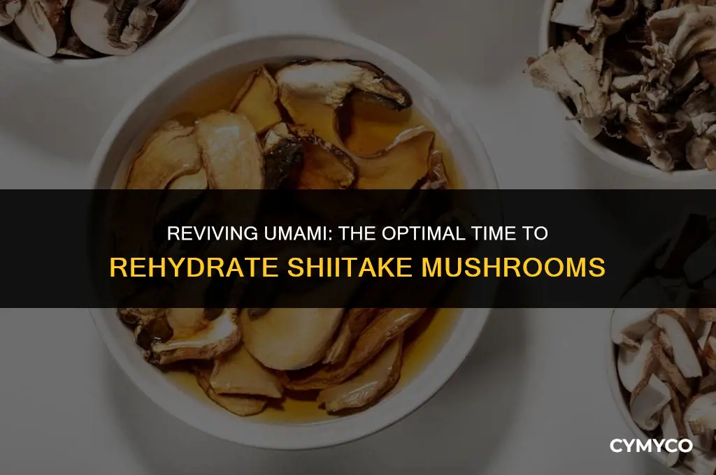 how long to rehydrate shiitake