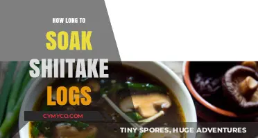 Unlocking the Secrets of Shiitake: Optimal Soaking Times for Perfect Logs