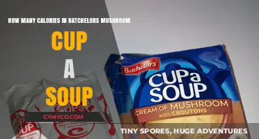 Exploring the Caloric Content of Batchelors Mushroom Cup-a-Soup