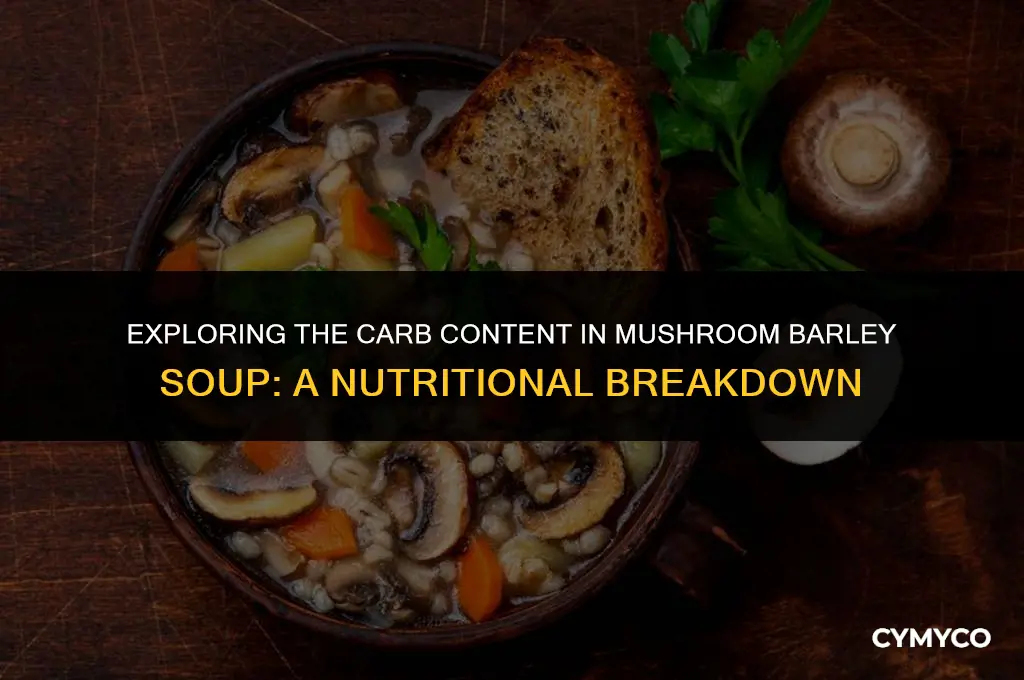 how many carbs in mushroom barley soup