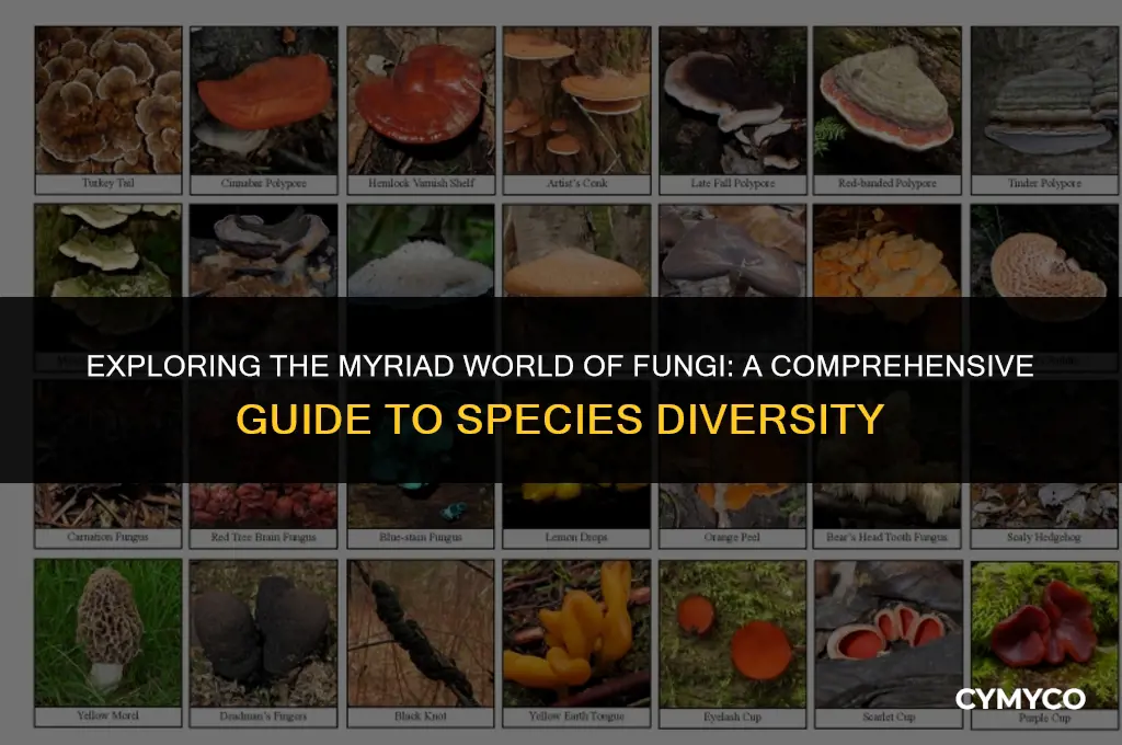 how many fungi species are there