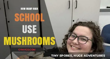 Exploring the Prevalence of Mushroom Use Among High School Students