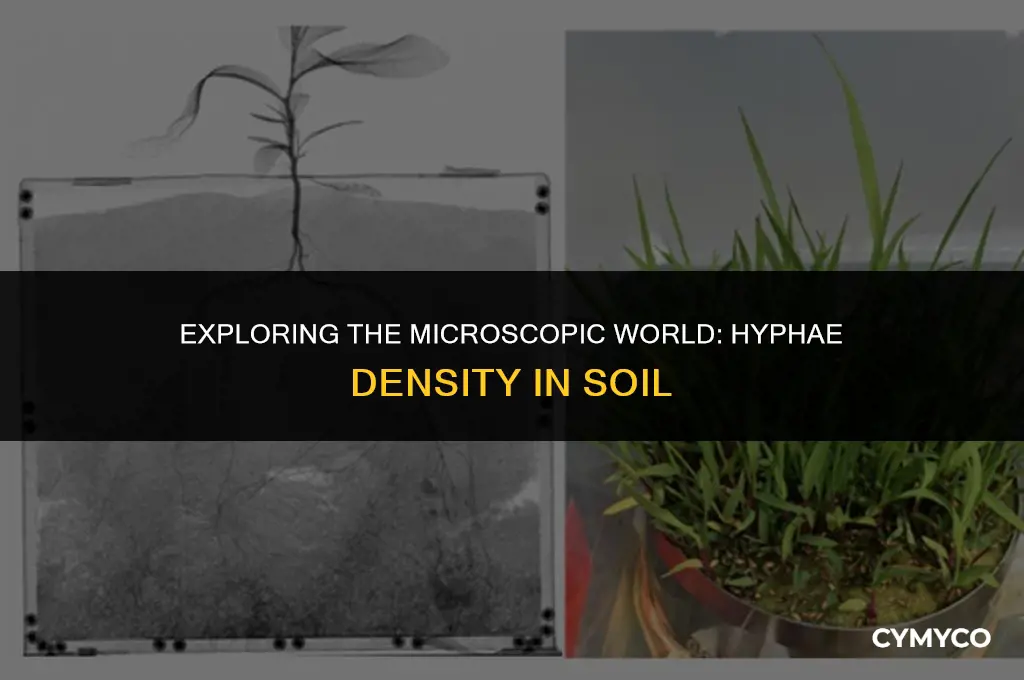 how many hyphae are in one cubic foot of soil