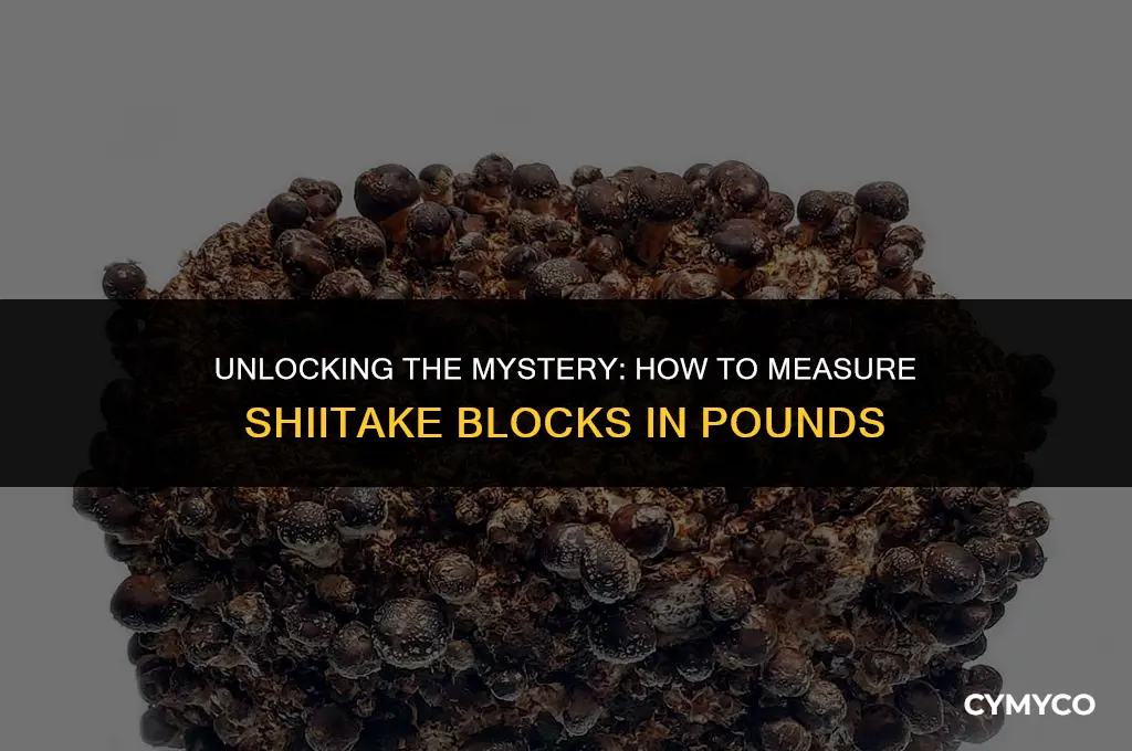 how many lbs off of a 5 lb shiitake block