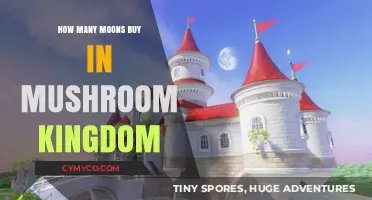 Exploring the Mushroom Kingdom: A Guide to Moon Acquisition