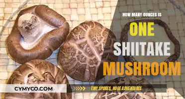 Exploring the Weight of Wellness: A Guide to Shiitake Mushrooms