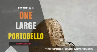 Sizing Up the Portobello: A Guide to Mushroom Magnitude