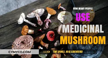 Exploring the Popularity of Medicinal Mushrooms: A Comprehensive Guide