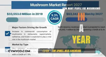 Exploring the Popularity of Mushrooms: A Yearly Consumption Insight