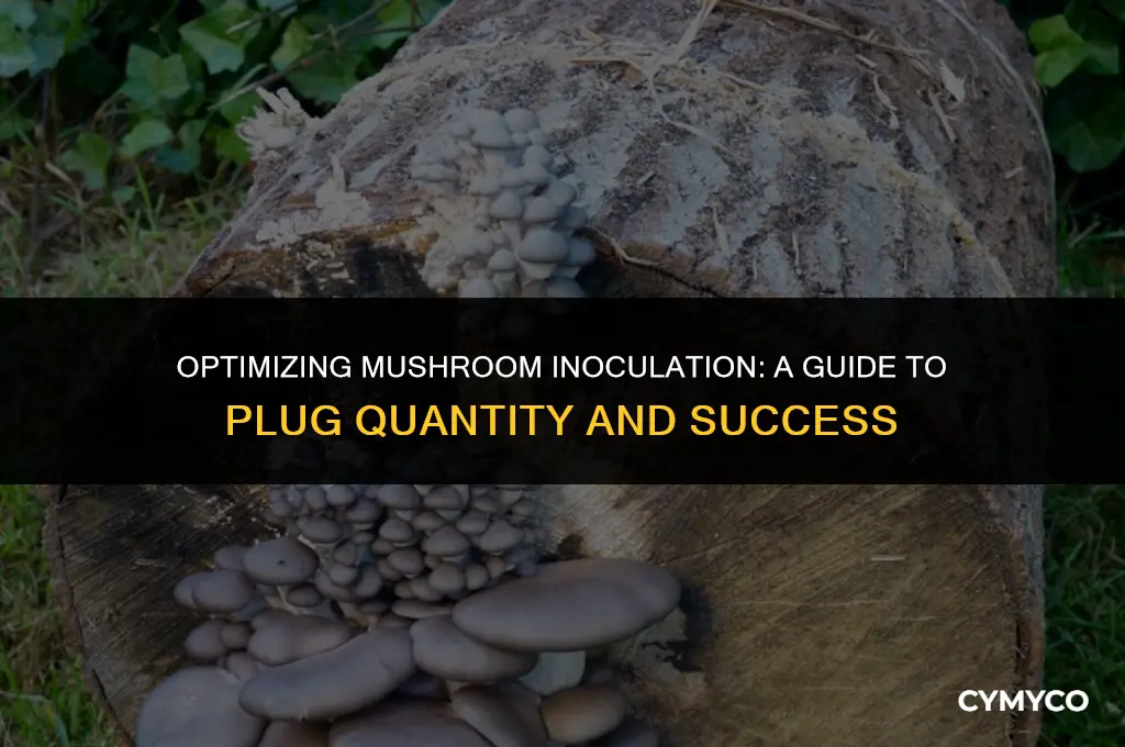 how many plugs to use in mushroom innoculation