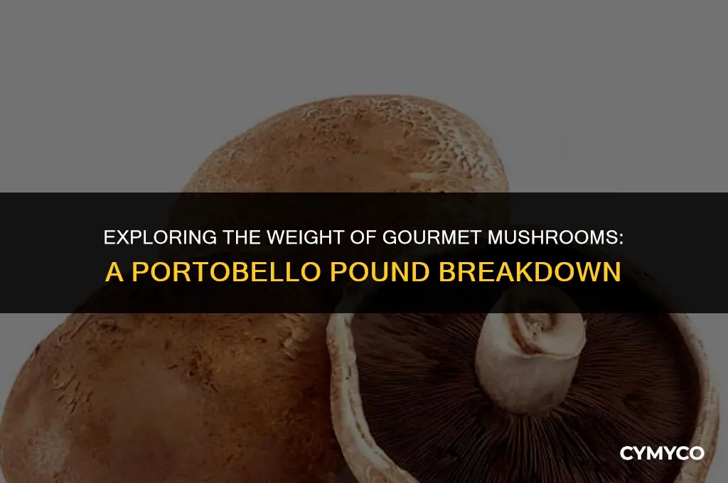 how many portobello per pound