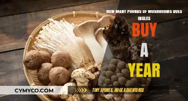 A Yearly Pound of Mushrooms: Ingles' Sustainable Procurement Insights