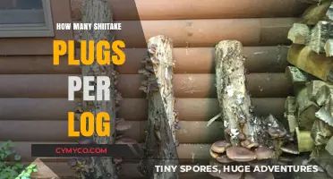Optimizing Shiitake Cultivation: The Ideal Plug-to-Log Ratio