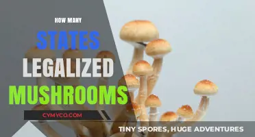 Exploring the Growing List of States Legalizing Mushrooms