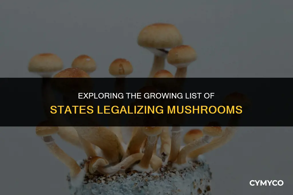 how many states legalized mushrooms