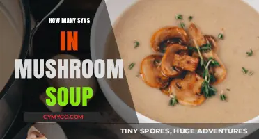 Exploring the Syn Count in Creamy Mushroom Soup Recipes