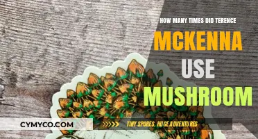 Exploring Terence McKenna's Psychedelic Journey: A Mushroom Retrospective