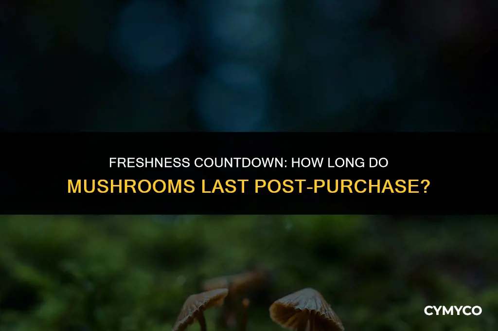 how many weeks till mushrooms go bad after buy date