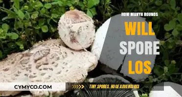 Decoding the Mystery: Understanding Spore Loss in Mushrooms