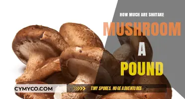 The Cost of Shiitake Mushrooms: A Pound-by-Pound Breakdown