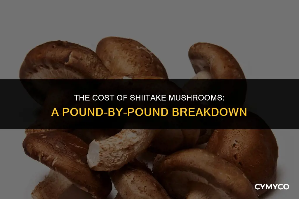 how much are shiitake mushrooms a pound