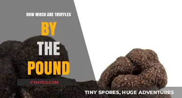 Truffle Treasures: Unveiling the Cost of These Edible Gems per Pound