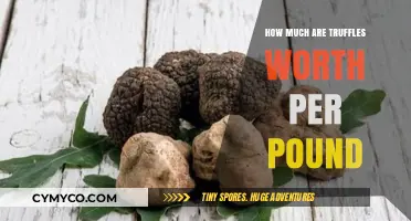 Decoding the Value: How Much Are Truffles Worth Per Pound?