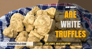 The Cost of Culinary Luxury: How Much Are White Truffles?
