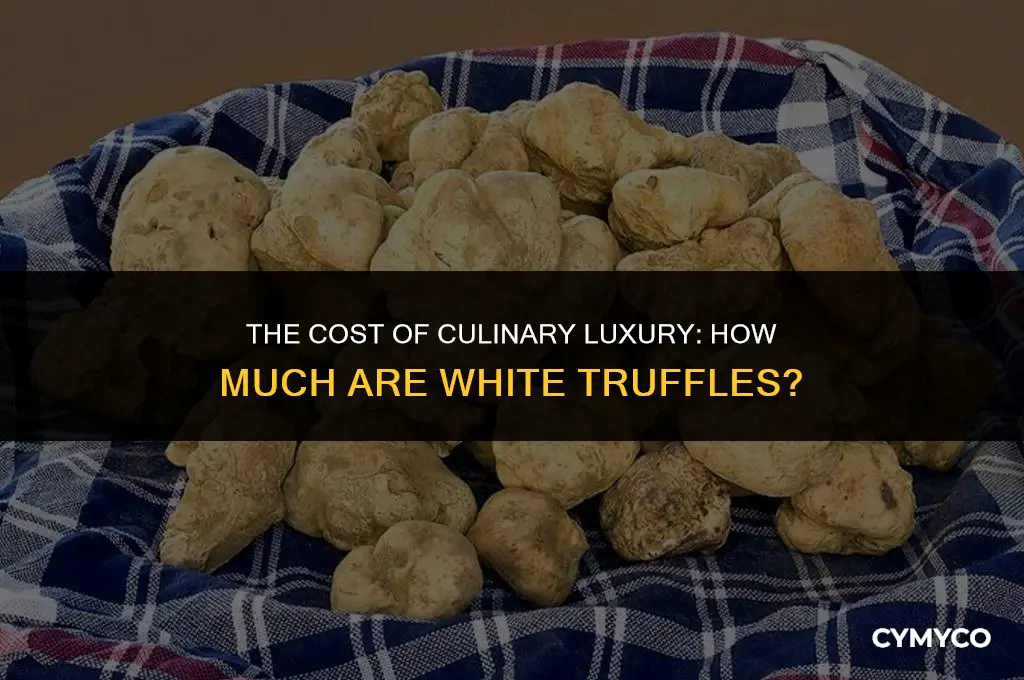 how much are white truffles
