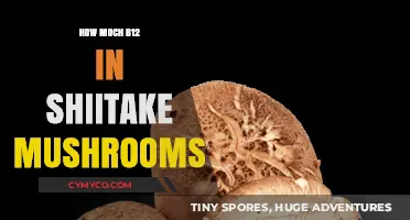 Shiitake Mushrooms: A Surprising Source of Vitamin B12